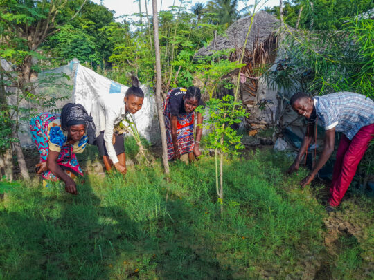 Landwirt*innen in Kenia bei der Arbeit